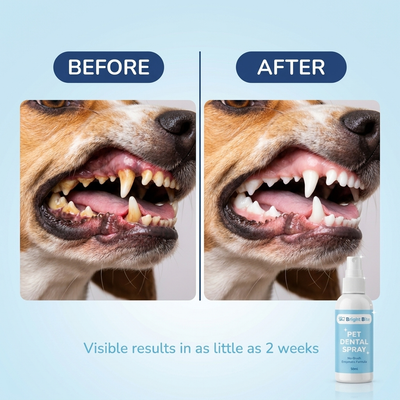 Bright Bite Pet Dental Spray [FREE TODAY]