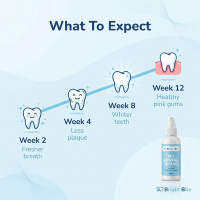Bright Bite Pet Dental Spray [FREE TODAY]