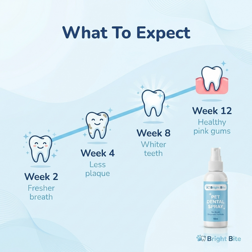 Bright Bite Pet Dental Spray [FREE TODAY]