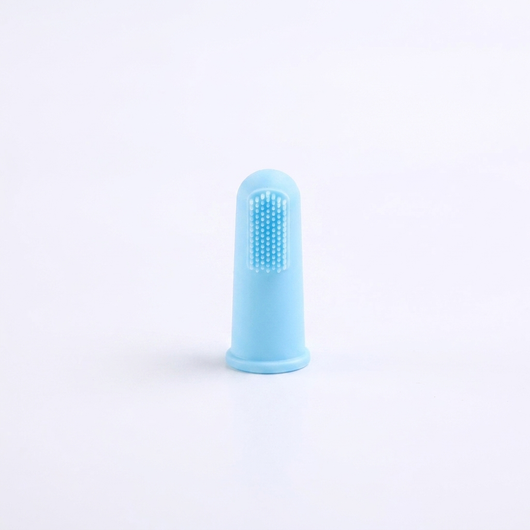 Bright Bite Brush
